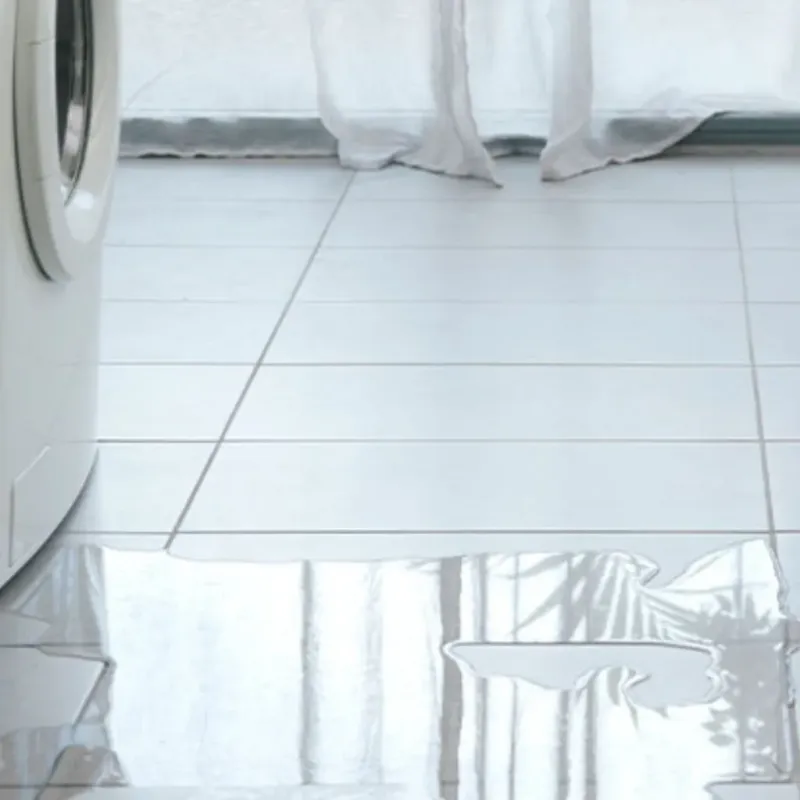 Appliance Leak Cleanup in Orland Hills, IL
