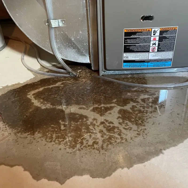 Pipe Burst and Leak Restoration in Orland Hills, IL