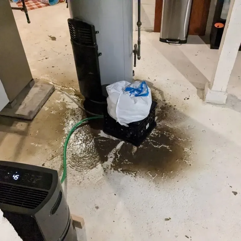 Sewage Backup Cleanup Service in Orland Hills, IL